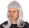 NET TOYS Authentische Witcher Perücke für Erwachsene - Grau - Außergewöhnliches Herren-Kostüm-Zubehör Zauberer Perücke Geralt von Riva - EIN Highlight für Fasching & Karneval