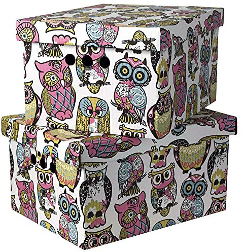 SOFTILLO Cardboard Storage Boxes with Lid Decorative Wardrobe, Closet, Home & Office Organiser with Handle Flat-Packed, Stackable File Box Gift for Adults & Kids Set of 2 Large Owls