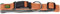 HUNTER Hundehalsung NEOPREN Vario Plus, Farbe: Kupfer/grau, strapazierfähiges Nylon, weiche Neoprenpolsterung, stufenlos verstellbar, mit Zugentlastung, pflegeleicht, komfortabel, Größe: M/2,0