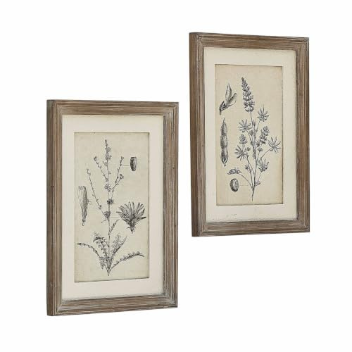Loberon Bild 2er Set Stanbury, braun/weiß | Zarte Botanische Motive, Schlicht Gehaltener Holzrahmen, Wanddekoration, Papier, Tannenholz