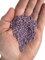 Ghiaia Decorativa per Marimo, Quarzo Ceramizzato Colorato per Vasi, Acquari e Terrari - Inerte, Non Tossico, (Arlecchino, Bianco, Blu, Nero, Rosa, Verde, Viola, Rosso, Giallo) (Viola, 1 kg)