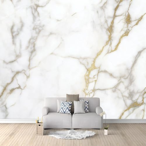 WHUOEUCO Papier Peint Texture De Marbre Gris 300x210 cm Papier Peint Panoramique Effet 3D, Peinture Murale intissé Grande, pour Moderne Salon Chambre TV Fond