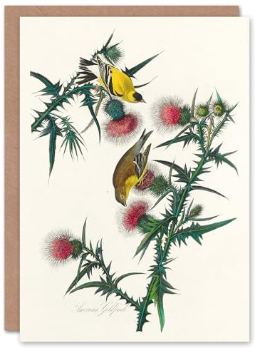 Artery8 John James Audubon Art Card American Goldfinch and Thistle