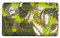 Royal Botanical Gardens, Kew Sandalwood & Pink Pepper Shea Butter Soap, 240g