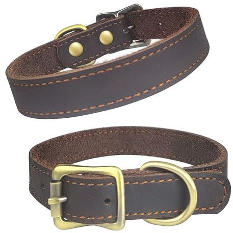 Hundehalsband Leder Lederhalsband Hund Hundehalsband Strapazierfähiges Klassische Lederhalsband Hundetrainingshalsband Verstellbares Hundehalsband mit Metallschnalle und Handgewebte Schnalle-S