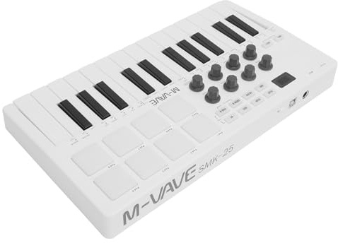 POENVFPO 25-Tasten-USB-MIDI-Keyboard-Controller, Tragbares Kabelloses Bluetooth-Keyboard mit 8 RGB-beleuchteten Pads und Smart Chord, Kompatibel mit Windows, OS X, IOS und Android