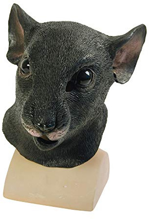 Bristol Novelty Unisex Adult Rat Mask