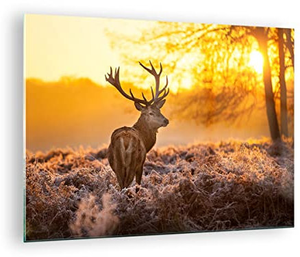 Bilder auf Glas Herbst landschaft natur blatt Glasbild 70x50cm Wandbilder Dekoration Wohnzimmer Schlafzimmer Küche Deko Klein Wanddeko Bild im Glas Wand Kunstdruck Art Modern Wall Decor GAA70x50-2552