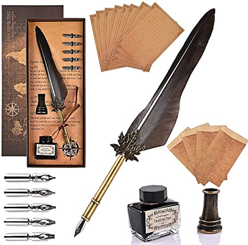 GOLDGE Fjäderpenna, gåspenna set med 5 reservspetsar, kalligrafi skrivpenna, quill penna set med stylografiskt bläck, pennhållare, 8 brevpapper och 4 kuvert
