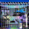 JXLEDAYY 300 LED Curtain Fairy Lights Outdoor Waterproof 3M*3M String Lights Plug in with Remote Timer 8 Modes Window Lights for Garden Patio Gazebo Wedding Party Indoor Bedroom Decoration-Multicolor