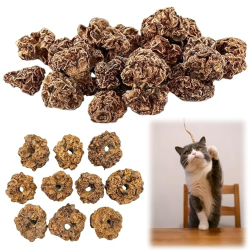 Frutti Matatabi Giochi per Gatti,20pcs Matatabi per Pulizia della Dentizione,Cat Teething Toys,Gatti Giochi da Masticare Bastoncini per Gatti Denti