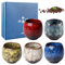 BORDEAG 5pcs Tasses À Expresso 110ml Tasse À Café Expresso En Céramique, Tasses À Thé En Céramique Tasses À Café En Céramique Tasse À Thé Mini Tasses À Expresso Pour Expresso, Thé, Café, Cadeaux