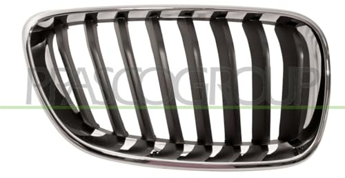 PRASCO BM2502003 Frontgrillspoiler