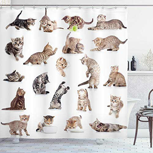 ABAKUHAUS Katze Duschvorhang, Lustige Spielerische Katzen Bild, Stoffliches Gewebe Badezimmerdekorationsset mit Haken, 175 x 180 cm, Braun Schwarz Weiß