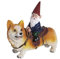 Stronrive Frecher Gartenzwerg Harz Garten Dekoration Lustig Gartenzwerg Figuren Deko für die Gartendekoration (REIT A Corgi)