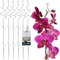 KOTARBAU® 6er Set Pflanzenstütze Transparent PVC 58 cm Spirale Blumenstütze Rankhilfe Zimmerpflanzen Blumenstütze Garten Orchideenstab Stützstab Pflanzen dekorative Pflanzenhalter Zimmerpflanzen