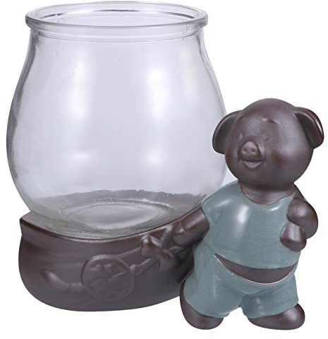 CIMAXIC Hydrokultur Topf Aus Keramik Glasblumentopf Für Hydrokulturblumen Blumenbehälter Für Heimdekoration