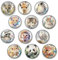 12 Stück Magnete Kinder für magnettafel pinnwand ，kühlschrank Magnete Tiere，kühlschrankmagnete，kühlschrank，Magnet，magneten