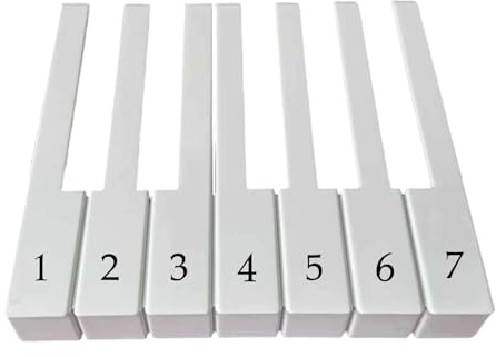 RNXRZANK Reparatur von Klaviertasten, Zubehör für Musikinstrumente, Wartung von Tastenkappen, Werkzeuge für Die Reparatur von Tastaturoberflächen, 5.1 Cm