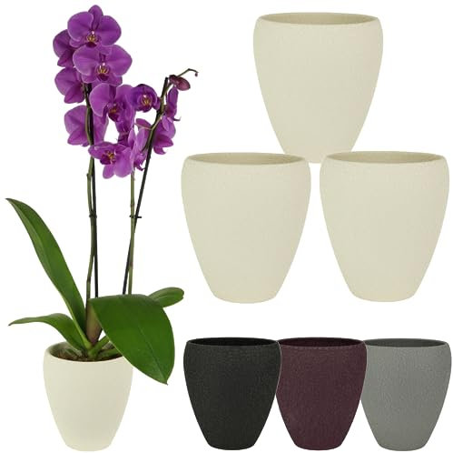 Spang Luna Orchideentopf Orchideen Übertopf Blumentopf Topf ○ Made in Germany (1er Set, Creme)