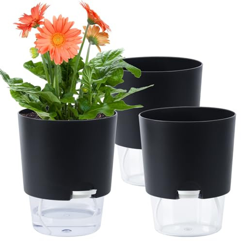 Oliz Lot de 3 pots de fleurs d'intérieur à arrosage automatique pour plantes d'intérieur de 15,8 cm, pots de fleurs violettes africaines avec réservoir visible, pot de fleurs à arrosage automatique