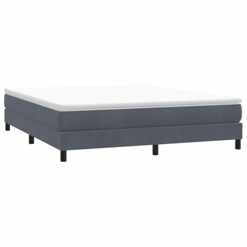 vidaXL Boxspringbett ohne Matratze Dunkelgrau 180x220 cm Samt, Bett, Bettgestell, Doppelbett, Schlafzimmermöbel, Bettrahmen, Samtbett, Polsterbett