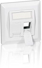 Equip RJ45 Dose Wandplatte für Unterputz Reinweiss 50 Polybeutel