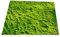 GOFQB Künstliche Moosmatte Rasenteppich Künstliche Mooswand Hohe Dichte Und Haltbarkeit für Patio Balkon Außen Innen (Color : E, Size : 1X1M)
