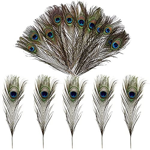 Natürliche Pfauenfeder, 15 Stück Pfau Schwanzfedern Pfauenfeder Federn Pfau Deko Für DIY-Federn, Kleidung, Hüte, Kunsthandwerk, Heimdekorationen