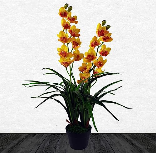Leaf 90cm Yellow Flower Orchid Plant