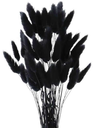 Damaiyyy Getrocknetes Pampasgras,Kaninchenschwanz Gras 60 Stück Natürlicher Trockenblumen Blumenstrauß Deko Künstlich Groß Trockenblumen Pampasgras für Inneneinrichtungen Fotografie Hochzeit Schwarz