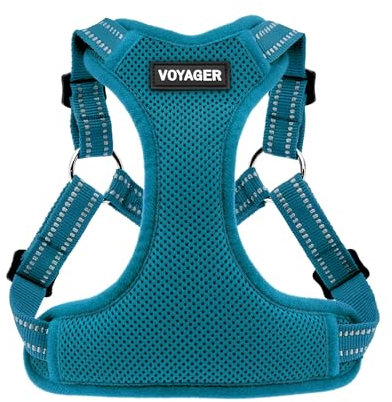 Voyager Verstellbares Hundegeschirr mit Reflektorstreifen by Best Pet Supplies - Strapazierfähige Ganzkörperweste ohne Zugkraft mit Leinen-D-Ring, atmungsaktiv, Türkis, size XL