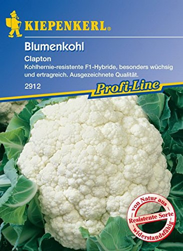 Kiepenkerl, Blumenkohl Clapton F1