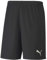 PUMA Herren teamGOAL 23 Knit Shorts Black, S