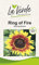 Sonnenblume Ring of Fire Blumensamen