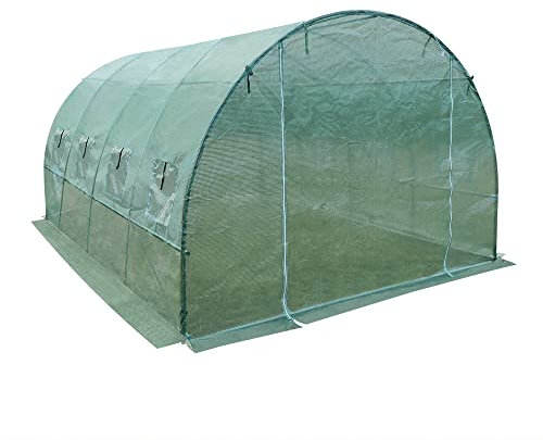 Panana Polytunnel Greenhouse Poly Tunnels Gardening Walk In Pollytunnel Tent with Steel Frame, Green (GSGH01GN01250201-TPEX)