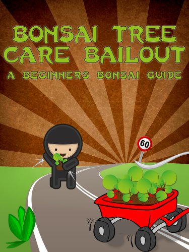 Bonsai Tree Care Bailout: A Beginner's Bonsai Guide (Bonsai Cultivation and Care Book 1) (English Edition)