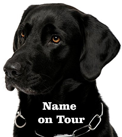 wodtke-werbetechnik Hundeaufkleber Labrador schwarz