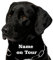 wodtke-werbetechnik Hundeaufkleber Labrador schwarz