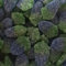 TAOS Fizzy Blue Raspberry Vegan Gummy Pick & Mix Sweets Kingsway 500g (Blue-Raspberry)