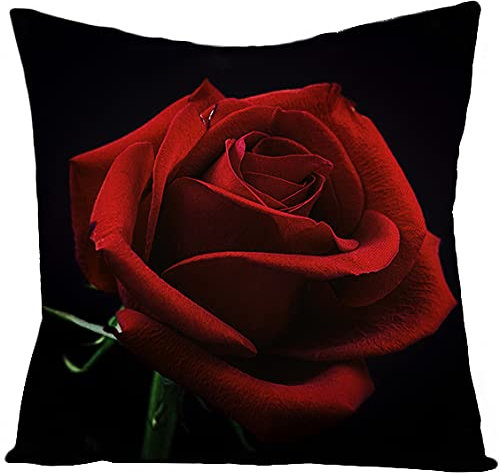 Kinde Kissenbezug 40x40 Rote Rose Kissenbezüge 40x40 Weich Baumwolle Hanf Couchkissen Resistent Kopfkissenbezug 40x40 Atmungsaktiv Kissenhülle 40x40 Verdecktem Zip Voll Sofakissen 1 Pcs, 5165654