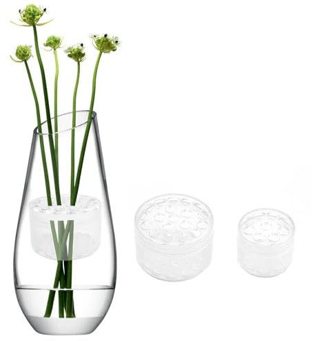 2Pcs Blumenstielhalter, Spiral Ikebana Stielhalter, Blumengesteck Spiralstielhalter für Vasen, Hanataba Blumenhalter, Ikebana Bouquet Twister, DIY Blumenstrauß Twister, Stielhalter Blumen Transparent