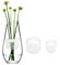 2Pcs Blumenstielhalter, Spiral Ikebana Stielhalter, Blumengesteck Spiralstielhalter für Vasen, Hanataba Blumenhalter, Ikebana Bouquet Twister, DIY Blumenstrauß Twister, Stielhalter Blumen Transparent
