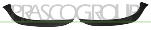 PRASCO RN3291300 Frame Door Mirror cover