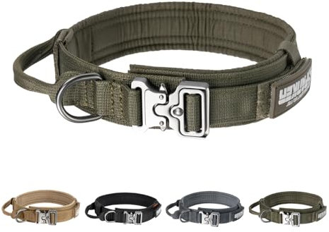 EXCELLENT ELITE SPANKER Taktisches Hundehalsband Nylon Verstellbares Trainingshalsband Heavy Duty Metallschnalle mit Kontrollgriff für mittlere und große Hunde mit Patches(RGN-L)