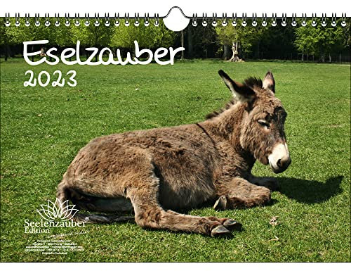Eselzauber DIN A4 Kalender für 2023 Esel - Seelenzauber, mehrfarbig, KN2023-4W-0019-D-0