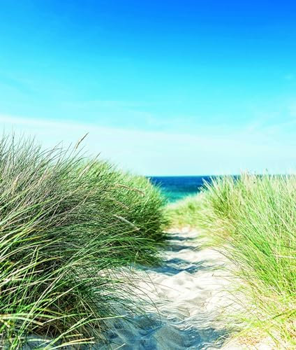 Fototapete Strand Sand Natur XXL Blau Grün Modern Design Tapete Vliestapete für Wohnzimmer Schlafzimmer Made in Germany 2,5 x 2,12m