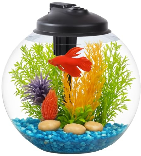 SW Products Aquarium-Starter-Set mit Netzfilter, LED-Licht mit 5-V-Netzteil und voller Haube, ideal für Betta und eine Vielzahl von tropischen Fischen, schlagfester Kunststoff