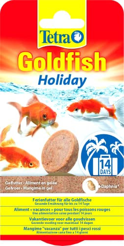 Tetra Goldfish Holiday - Ferienfutter für alle Goldfische, gesunde Ernährung für bis zu 14 Tage, 2 X 12 g Gelfutterblock