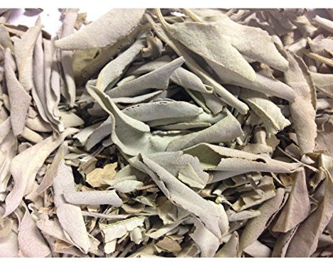 WLM Sauge Blanche en Feuille